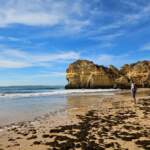 img-20241020-wa0009
